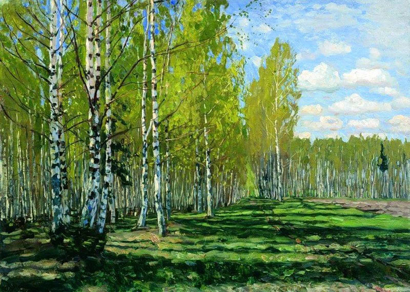 a forest
